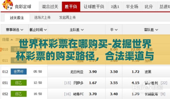 世界杯彩票在哪购买-发掘世界杯彩票的购买路径，合法渠道与便捷方案