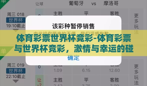 体育彩票世界杯竞彩-体育彩票与世界杯竞彩，激情与幸运的碰撞