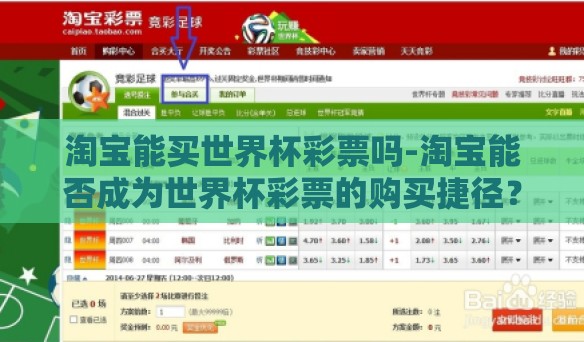 淘宝能买世界杯彩票吗-淘宝能否成为世界杯彩票的购买捷径？