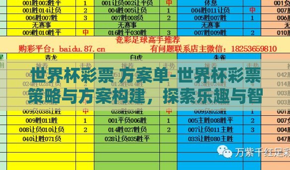世界杯彩票 方案单-世界杯彩票策略与方案构建，探索乐趣与智慧