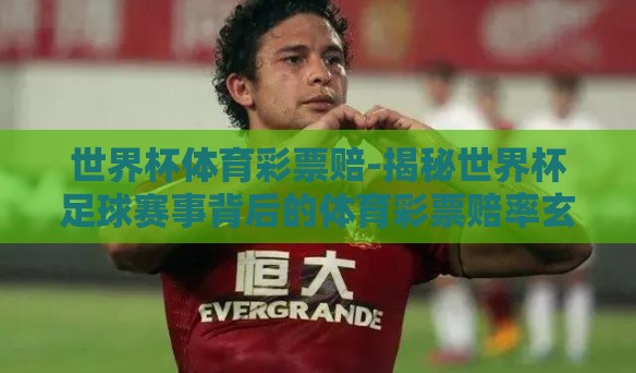 世界杯体育彩票赔-揭秘世界杯足球赛事背后的体育彩票赔率玄机