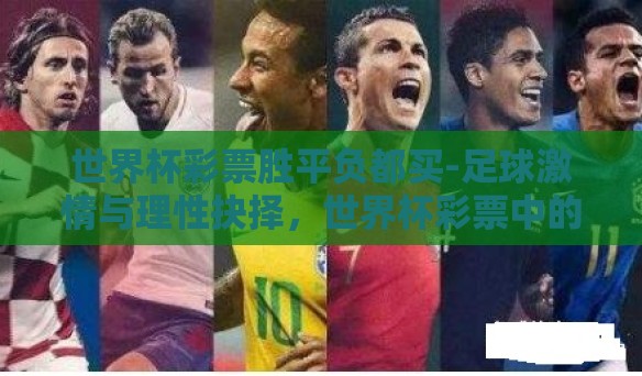 世界杯彩票胜平负都买-足球激情与理性抉择，世界杯彩票中的全包策略探讨