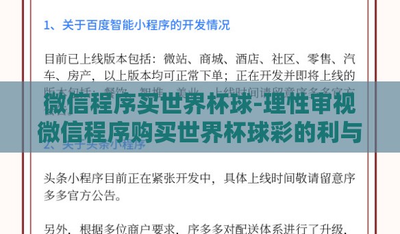 微信程序买世界杯球-理性审视微信程序购买世界杯球彩的利与弊