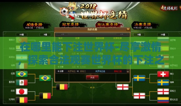 在哪里能下注世界杯-尽享激情，探索合法观赛世界杯的下注之道