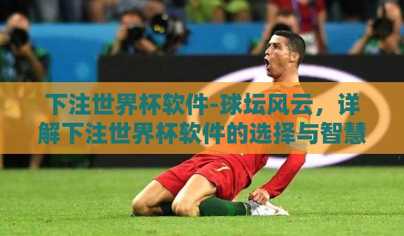 下注世界杯软件-球坛风云，详解下注世界杯软件的选择与智慧之道