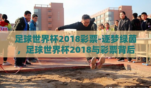 足球世界杯2018彩票-逐梦绿茵，足球世界杯2018与彩票背后的激情与梦想