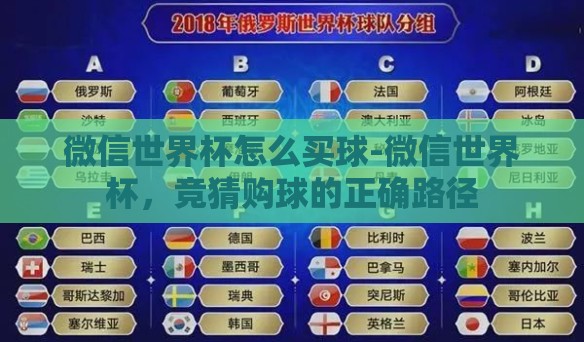 微信世界杯怎么买球-微信世界杯,竞猜购球的正确路径 微信世界杯怎么买球-微信世界杯,竞猜购球的正确路径