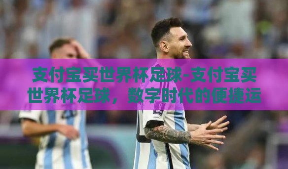 支付宝买世界杯足球-支付宝买世界杯足球，数字时代的便捷运动狂欢