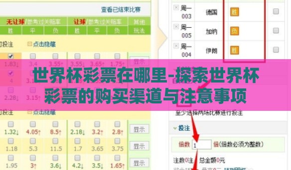 世界杯彩票在哪里-探索世界杯彩票的购买渠道与注意事项