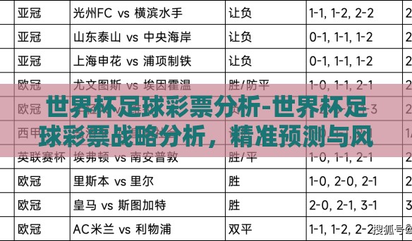 世界杯足球彩票分析-世界杯足球彩票战略分析，精准预测与风险控制的完美平衡