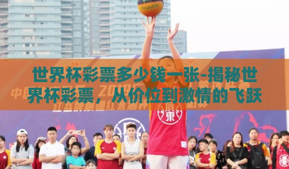 世界杯彩票多少钱一张-揭秘世界杯彩票，从价位到激情的飞跃