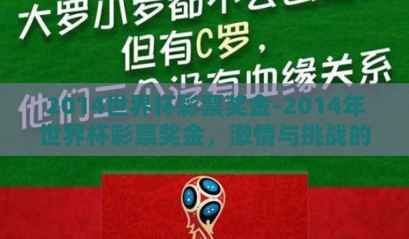 2014世界杯彩票奖金-2014年世界杯彩票奖金，激情与挑战的交织
