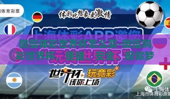 微信体彩世界杯怎么买-微信购彩世界杯，便捷、安全、报你梦想之喜