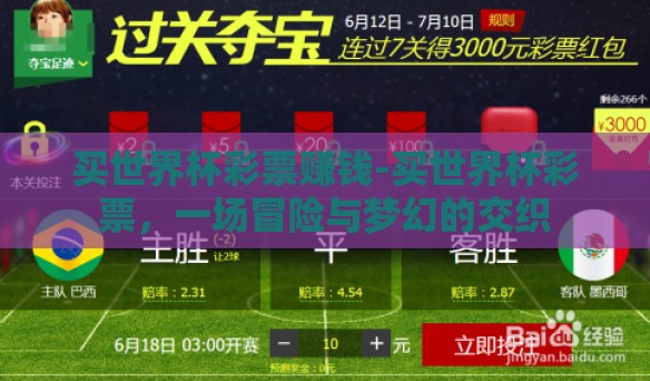 买世界杯彩票赚钱-买世界杯彩票，一场冒险与梦幻的交织
