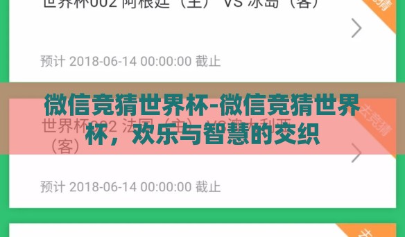 微信竞猜世界杯-微信竞猜世界杯，欢乐与智慧的交织
