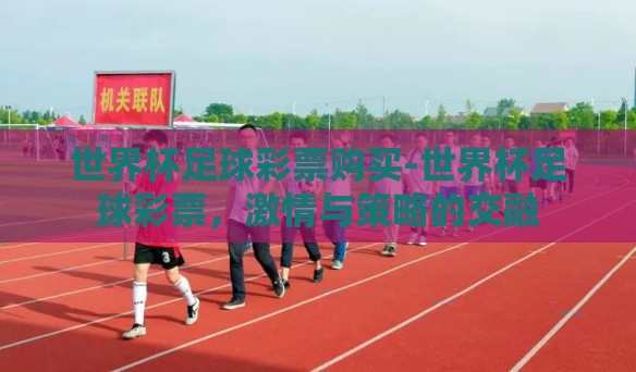 世界杯足球彩票购买-世界杯足球彩票,激情与策略的交融 世界杯足球彩票购买-世界杯足球彩票,激情与策略的交融