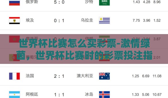 世界杯比赛怎么买彩票-激情绿茵，世界杯比赛时的彩票投注指南