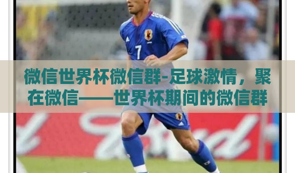 微信世界杯微信群-足球激情，聚在微信——世界杯期间的微信群探秘