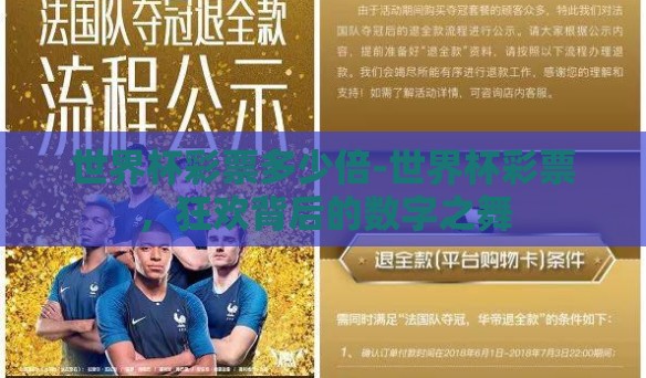 世界杯彩票多少倍-世界杯彩票，狂欢背后的数字之舞