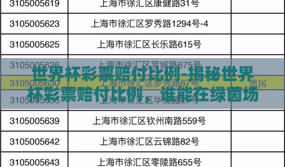世界杯彩票赔付比例-揭秘世界杯彩票赔付比例，谁能在绿茵场上左右胜负的天平？