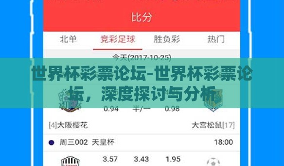 世界杯彩票论坛-世界杯彩票论坛，深度探讨与分析