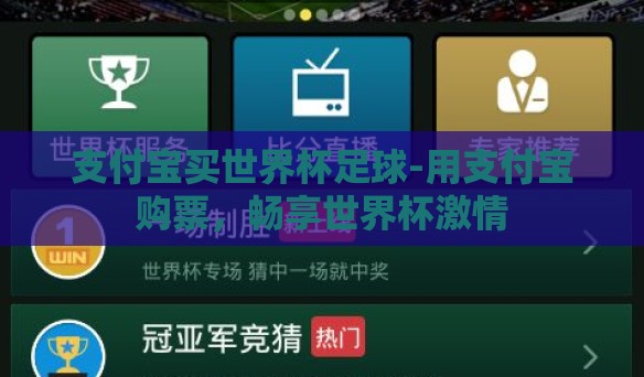 支付宝买世界杯足球-用支付宝购票，畅享世界杯激情