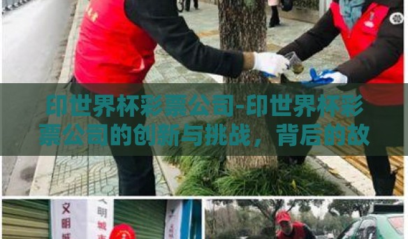 印世界杯彩票公司-印世界杯彩票公司的创新与挑战，背后的故事与未来展望