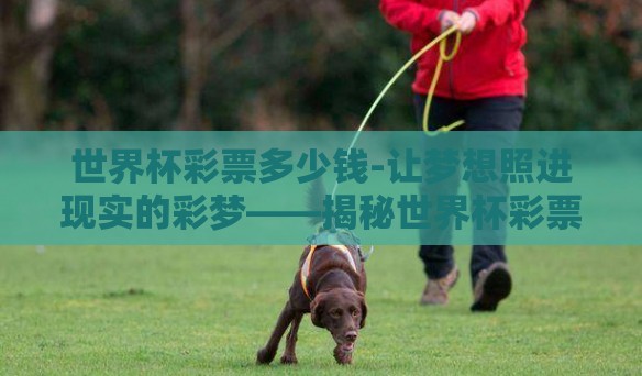 世界杯彩票多少钱-让梦想照进现实的彩梦——揭秘世界杯彩票的魅力与价格 世界杯彩票多少钱-让梦想照进现实的彩梦——揭秘世界杯彩票的魅力与价格