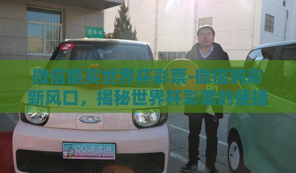 微信能买世界杯彩票-微信购彩新风口，揭秘世界杯彩票的便捷之选