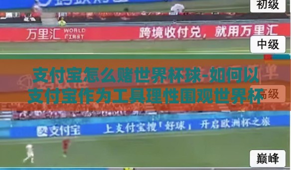 支付宝怎么赌世界杯球-如何以支付宝作为工具理性围观世界杯球赛的有趣玩法揭秘