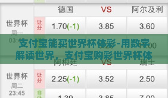 支付宝能买世界杯体彩-用数字解读世界，支付宝购彩世界杯体彩的便捷与洞见