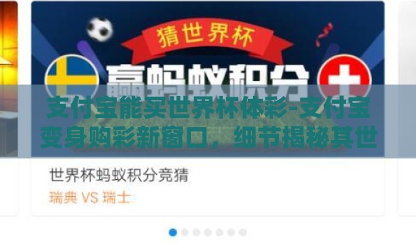 支付宝能买世界杯体彩-支付宝变身购彩新窗口，细节揭秘其世界杯体彩购买体验与影响