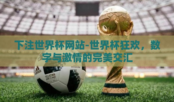 下注世界杯网站-世界杯狂欢，数字与激情的完美交汇
