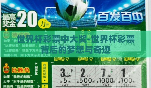 世界杯彩票中大奖-世界杯彩票背后的梦想与奇迹