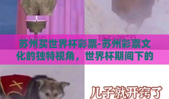 苏州买世界杯彩票-苏州彩票文化的独特视角，世界杯期间下的彩票狂欢