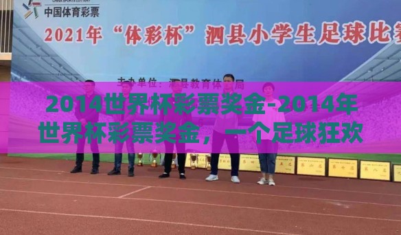 2014世界杯彩票奖金-2014年世界杯彩票奖金，一个足球狂欢节的经济脉动与个人梦想的碰撞