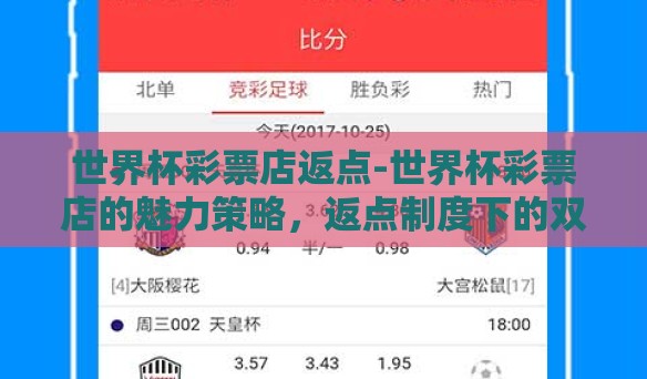世界杯彩票店返点-世界杯彩票店的魅力策略，返点制度下的双赢之道