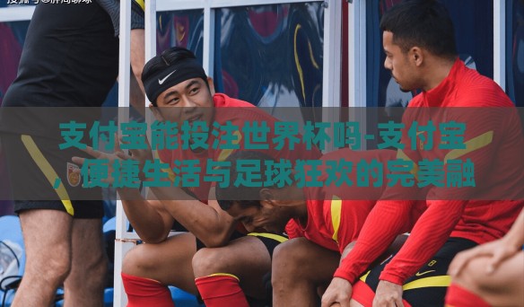 支付宝能投注世界杯吗-支付宝，便捷生活与足球狂欢的完美融合