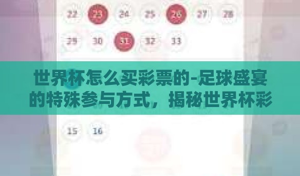 世界杯怎么买彩票的-足球盛宴的特殊参与方式，揭秘世界杯彩票购彩技巧