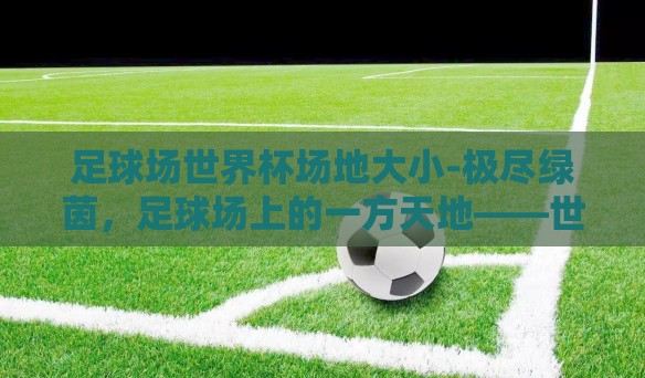 足球场世界杯场地大小-极尽绿茵，足球场上的一方天地——世界杯场地大小探秘