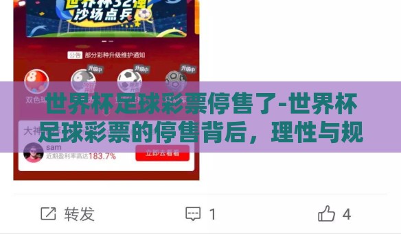 世界杯足球彩票停售了-世界杯足球彩票的停售背后，理性与规范的碰撞