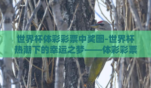 世界杯体彩彩票中奖图-世界杯热潮下的幸运之梦——体彩彩票中奖图鉴