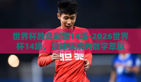 世界杯胜负彩票14场-2026世界杯14场,足球狂欢的数字萃取 世界杯胜负彩票14场-2026世界杯14场,足球狂欢的数字萃取