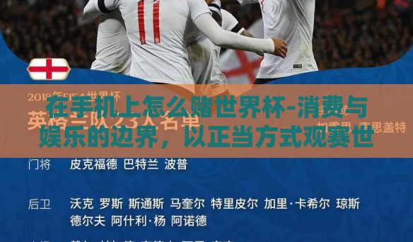 在手机上怎么赌世界杯-消费与娱乐的边界，以正当方式观赛世界杯的智慧选择