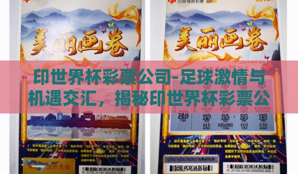 印世界杯彩票公司-足球激情与机遇交汇，揭秘印世界杯彩票公司的多彩画卷
