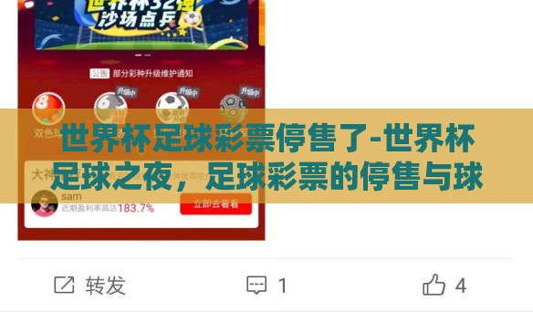世界杯足球彩票停售了-世界杯足球之夜，足球彩票的停售与球迷情感的转角