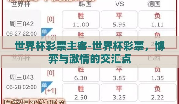 世界杯彩票主客-世界杯彩票，博弈与激情的交汇点
