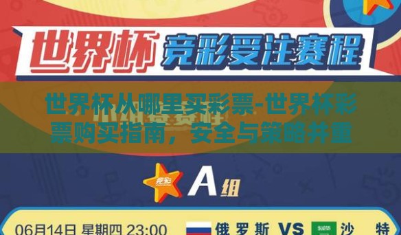 世界杯从哪里买彩票-世界杯彩票购买指南，安全与策略并重