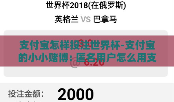 支付宝怎样投注世界杯-支付宝的小小赌博: 匿名用户怎么用支付宝投世界杯 支付宝怎样投注世界杯-支付宝的小小赌博: 匿名用户怎么用支付宝投世界杯