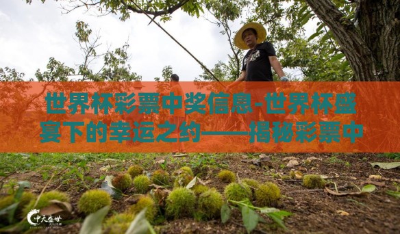 世界杯彩票中奖信息-世界杯盛宴下的幸运之约——揭秘彩票中奖信息揭秘的趣味与风险